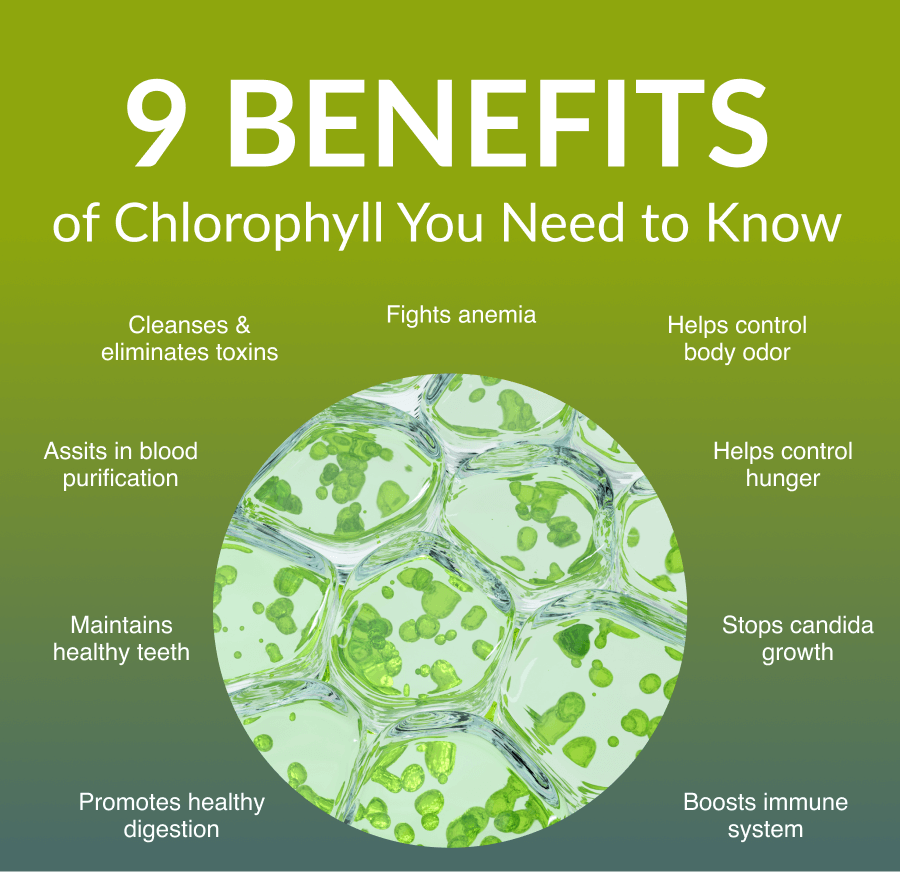 9 Benefits Of Chlorophyll You Need To Know - Alkaline Herb Shop