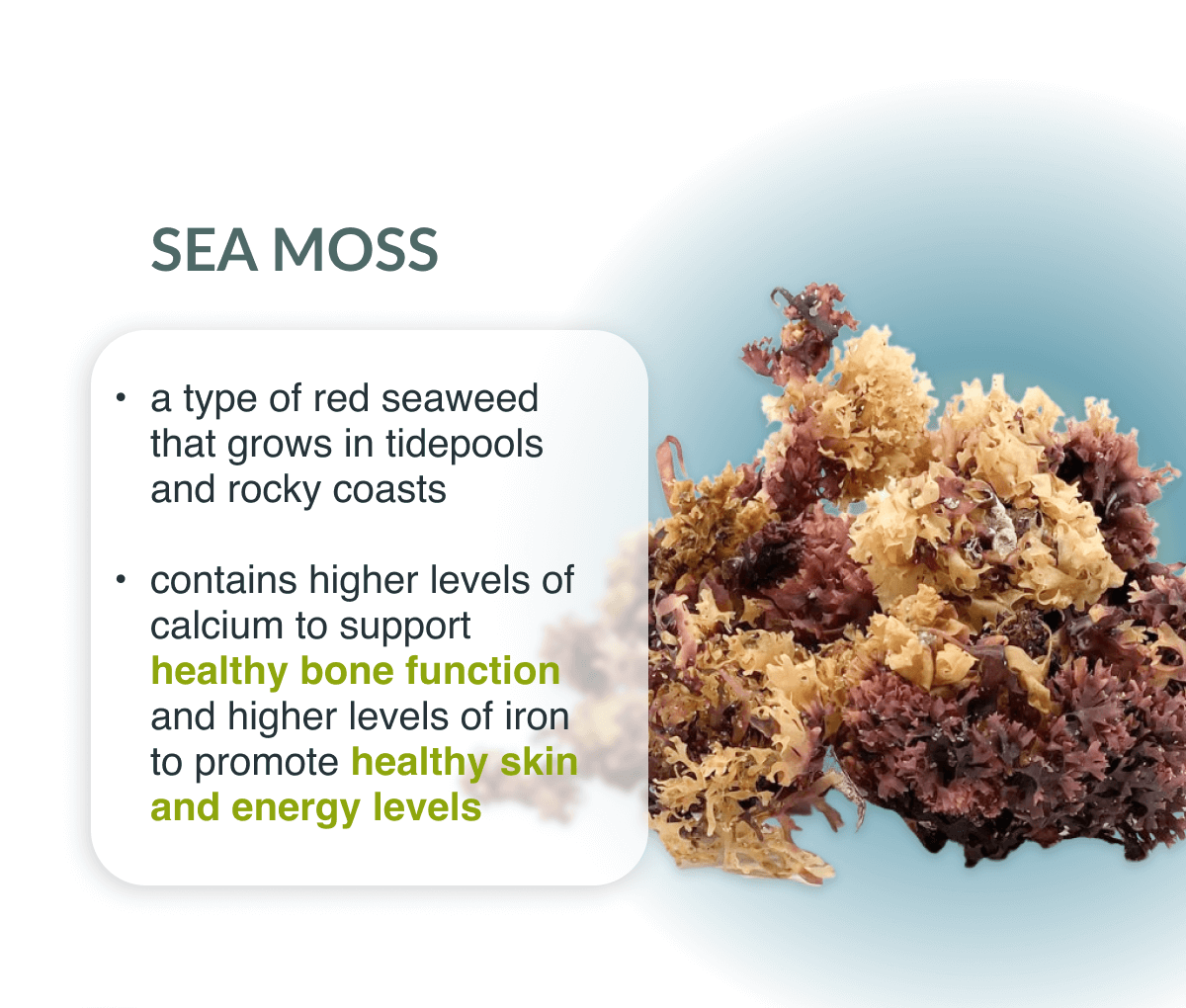 Better Together💚 Alkaline Herb Shop