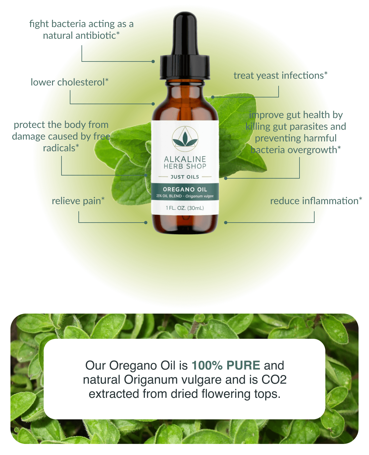 Introducing our new release Oregano Oil🌱 Alkaline Herb Shop