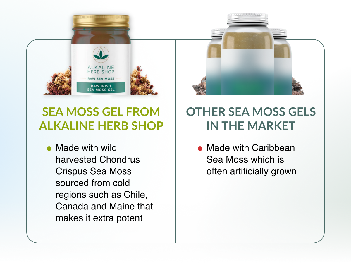 Meet Raw Sea Moss Gel👋 Alkaline Herb Shop